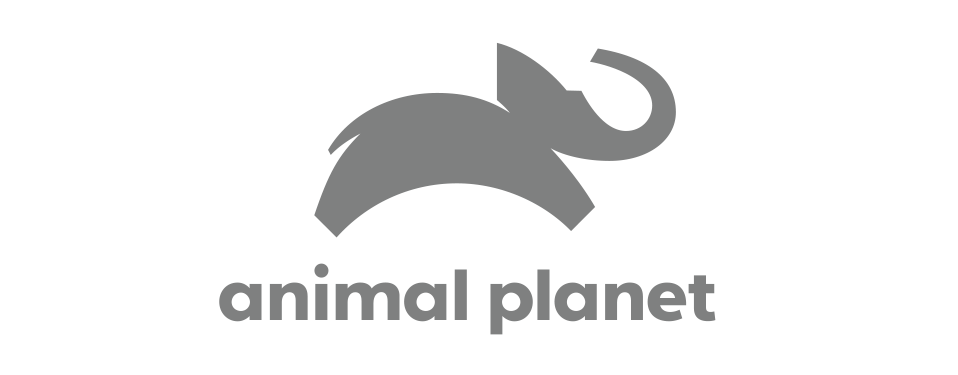 PFS Client Carousel Animal Planet